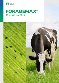 ForageMax brochure